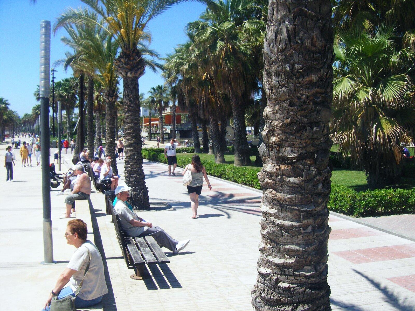 Palm trees and benches along the busy Salou seafront promenade